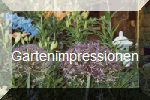 Gartenimpressionen
